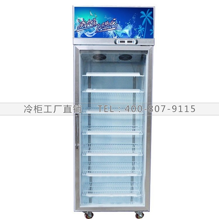 107单门冷冻展示柜